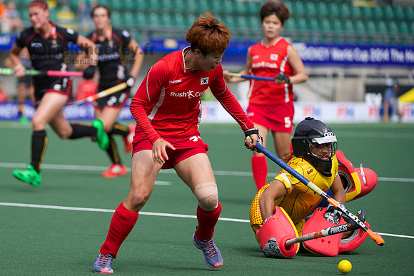 RaboBank Hockey World Cup 2014