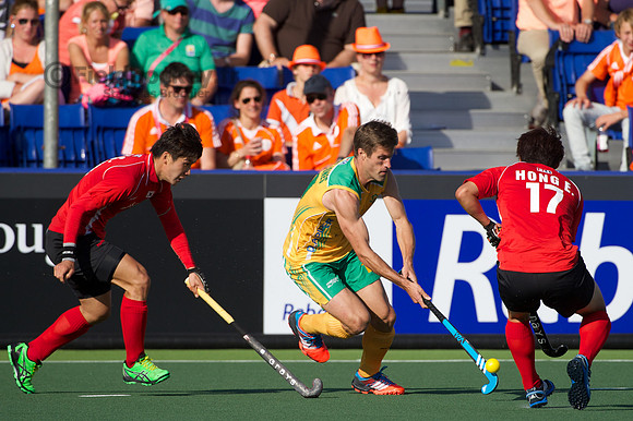 RaboBank Hockey World Cup 2014