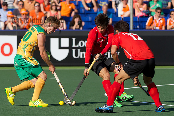 RaboBank Hockey World Cup 2014