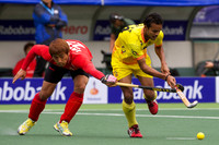 RaboBank Hockey World Cup 2014