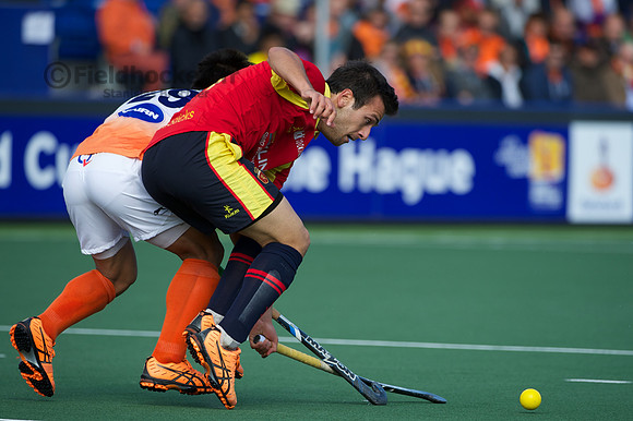RaboBank Hockey World Cup 2014