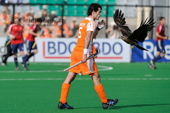 An eagle flying over Dutsch team