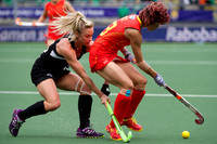 RaboBank Hockey World Cup 2014