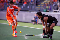 RaboBank Hockey World Cup 2014