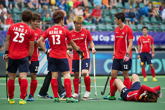 RaboBank Hockey World Cup 2014