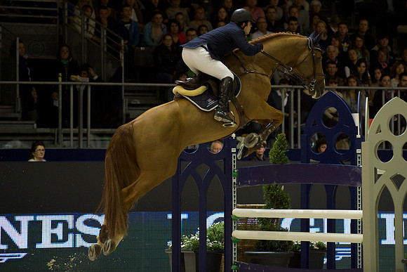 FEI World Cup