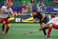 RaboBank Hockey World Cup 2014