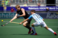 RaboBank Hockey World Cup 2014