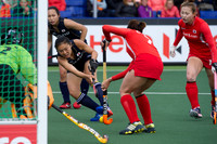 RaboBank Hockey World Cup 2014
