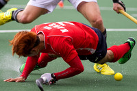 RaboBank Hockey World Cup 2014