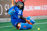 NZ vs Japan