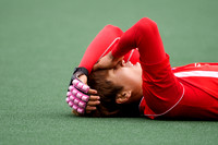 RaboBank Hockey World Cup 2014