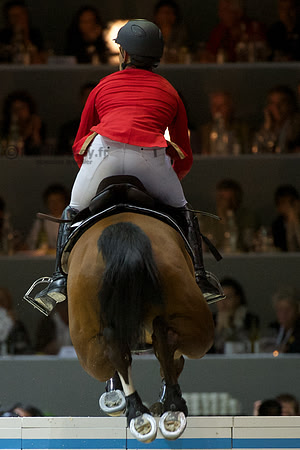 FEI World Cup