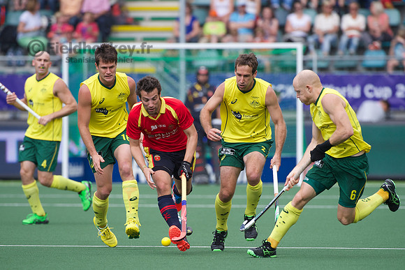 RaboBank Hockey World Cup 2014